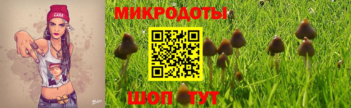 Псилоцибиновые грибы Magic Shrooms  наркотики  Верхний Уфалей  Вход с VPN 
